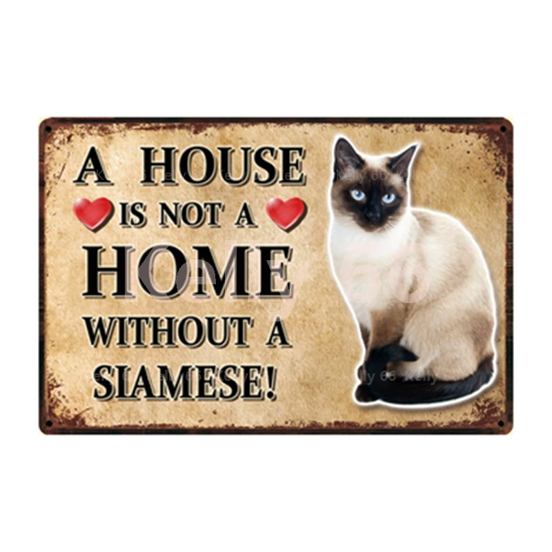 [ Kelly66 ] Pets Cat Bombay Siamese Burmese Birman Abyssinian Metal Sign Home Decor Bar Wall Art Painting 20*30 CM Size Dy147