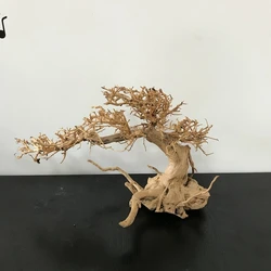 100% Handcraft Aquarium Bonsai Driftwood Moss Tree Bonsai Driftwood Aquarium мопани Tree Wood Ornament Natural Branches