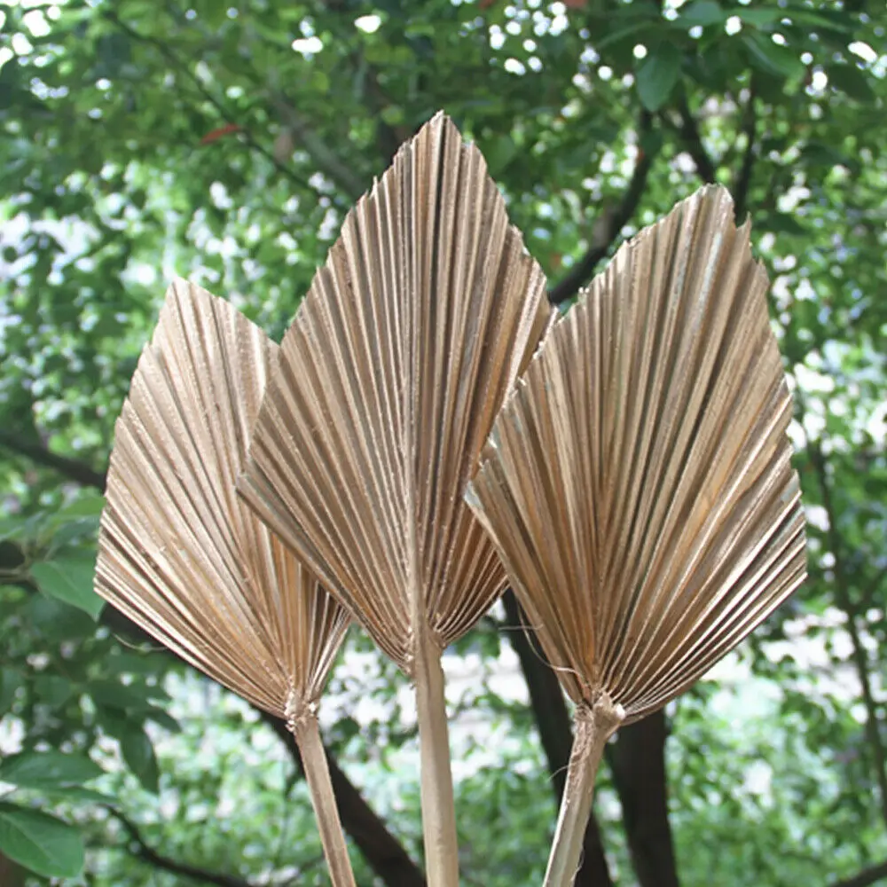 3pcs/set Garden Gold Dried Spear Palm Leaves CAKE TOPPER Letterbox Palm Spears Outdoor Home Decoration KYY1442