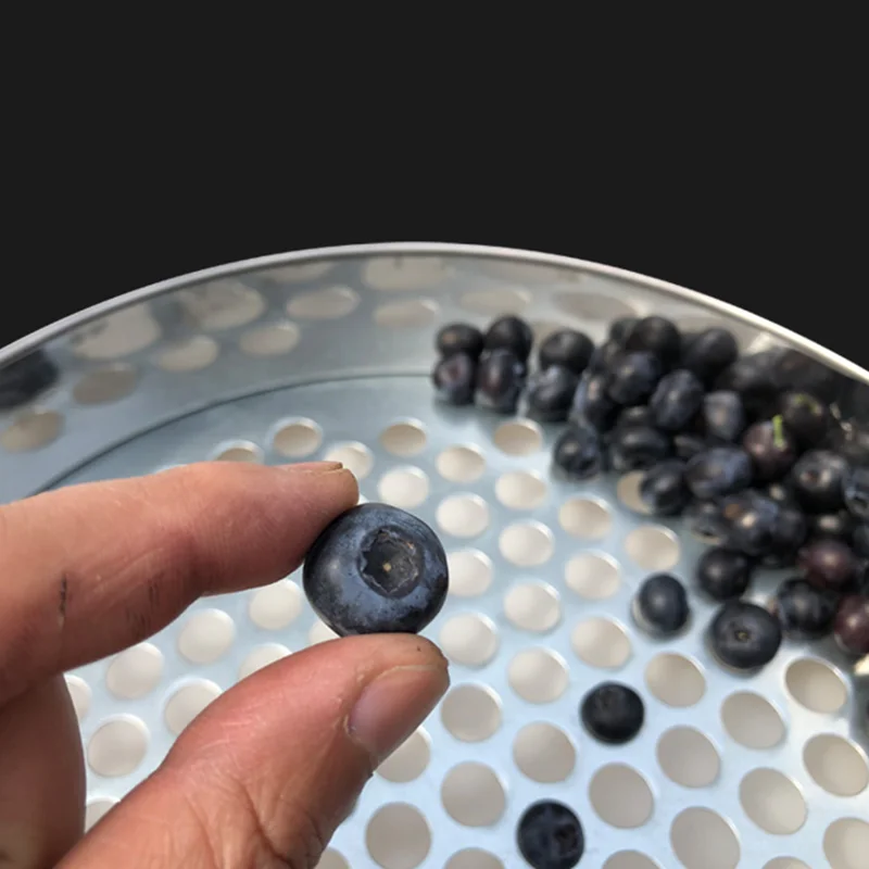 Round Hole Sieve 304 Stainless Steel Mesh Sieve 0.5-50mm Kitchen Food Bean Filter Screen Fruit Blueberry Sieve Strainer Sifter