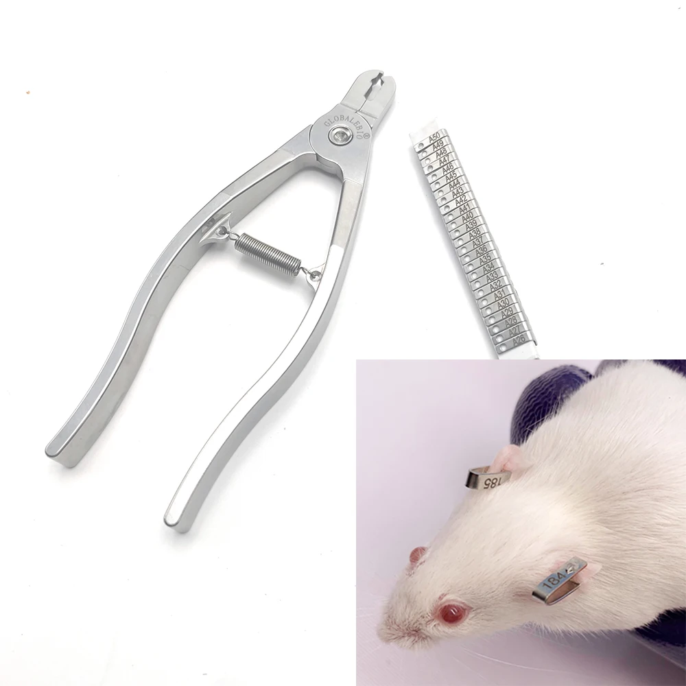 1PCS Rat Mice Hamster Mouse Ear Tag Plier 304 Stainless Steel Lab Tools Identification Clamp With Number Letter Forceps