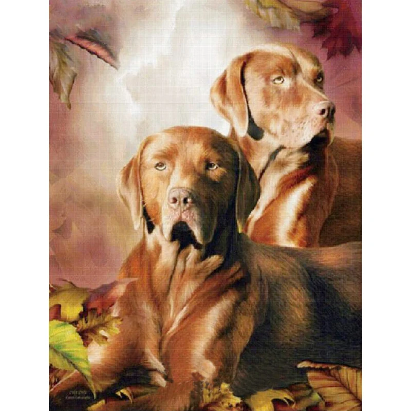 

Yumeart Two Brown Labrador Diy 5D Diamond Mosaic Paint With Diamond Painting Full Square Drill Diamond Embroidery Pet Dog Animal