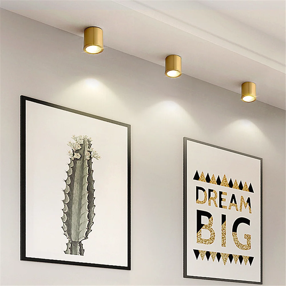 Postmodern Design Luxury Round Surface Mounted Led Ceiling Lamp Ultra-Thin Copper Spotlight Living Room Hallway Corridor Fixture