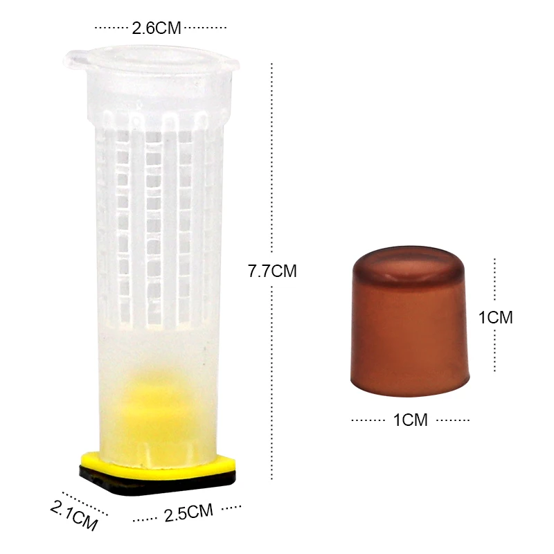 1 zestaw kompletny zestaw do hodowli królowej pszczół System klatki pszczoły zestaw narzędzi dostawca sprzęt narzędziowy baza komórki celularne