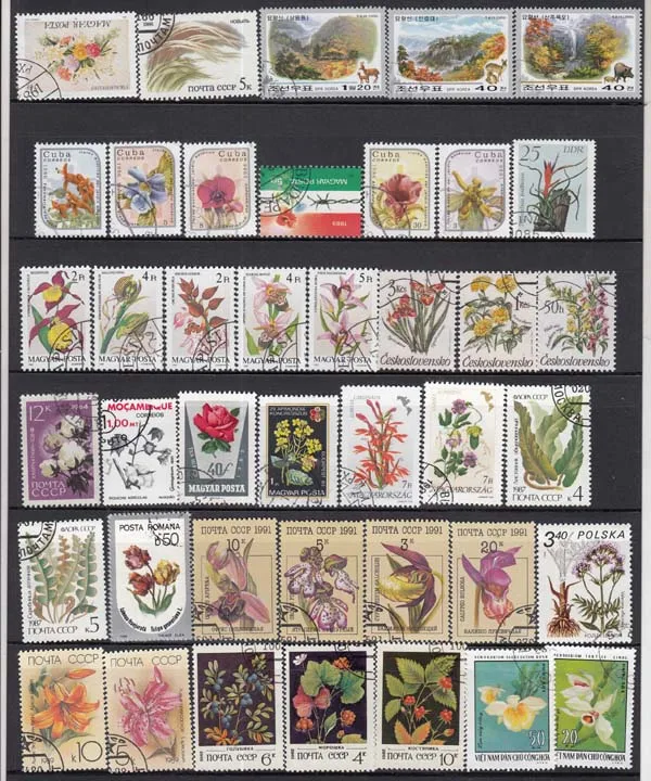 50Pcs/Set Flowers All Different From Many Countries NO Repeat With Postmark Postage Stamps for Collecting