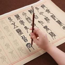 Chinese Zhuanshu Calligraphy Copybook Deng Shiru Seal Script Heart Sutra Copybook Beginner Chinese Brush Miaohong Copy Book Ink