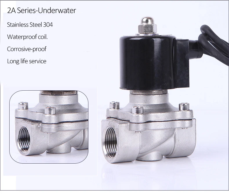 1-1/4" Edelstahl Unterwasser Magnetventil Brunnen Magnetventil Wasserventil 220V 110V 24V 12V – Detail 2