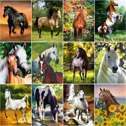 CHENISTORY 60x75cm Frame Painting By Numbers For Adults Horse Picture By Numbers Animals Acrylic Paint On Canvas Home Decors Art