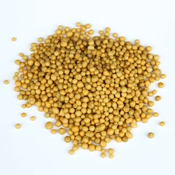 Japanese Slow-Release Orchid Plants, Succulent Plant, Granular NPK Fertilizer, 150g per Pack