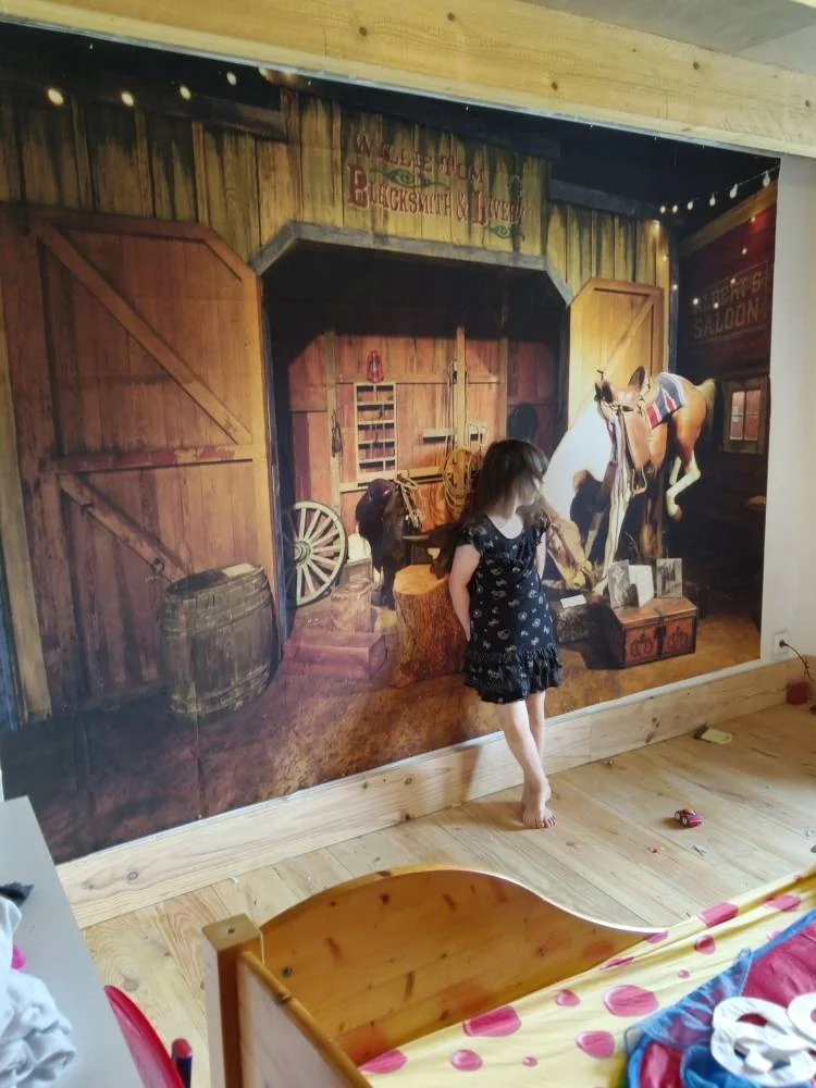 Laeacco-Arrière-Plan de Photographie pour Studio Photo, Vieux Bois, Grange, Cheval, West Cowboy, États-Unis, Enfant, ixde Bébé