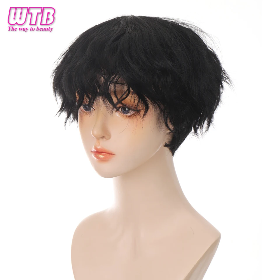 WTB Synthetic Short Curly Men's Wig Black Blonde Daily Use Wigs for Boy Halloween Cosplay Fake Wig Heat Resistant Fiber