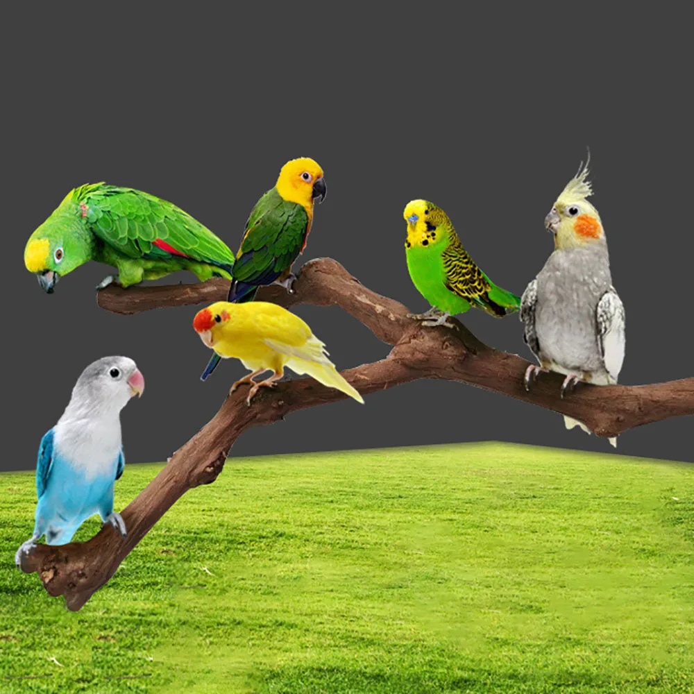 Parrot Bird Standing Stick Wooden Perches Adjustable Bite Toy Cockatiel Pigeon Station Pole Lovebirds Claw Bar Cage Accessories