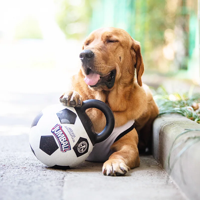 Imagem -02 - Bolas de Futebol Infláveis com Alças para Treinamento Pet Grande Dog Toys Brinquedos de Futebol para Cães Grandes