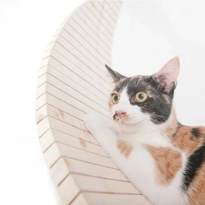 Wall Mounted Cat Shelves Cat Jumping Platform Cat Climbing Frame Wall Cat Detachable Kitten Springboard