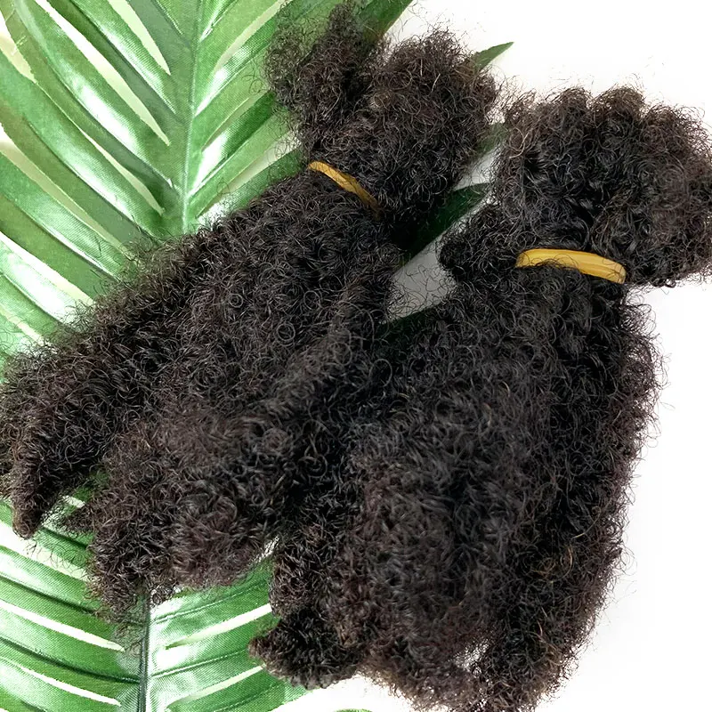 Afro Kinky Curly Locks Przedłużanie włosów Microlocs Ludzkie włosy do zaplatania Luzem włosy do zaplatania Podwójnie ciągnione pudełko Szydełkowe warkocze 4C