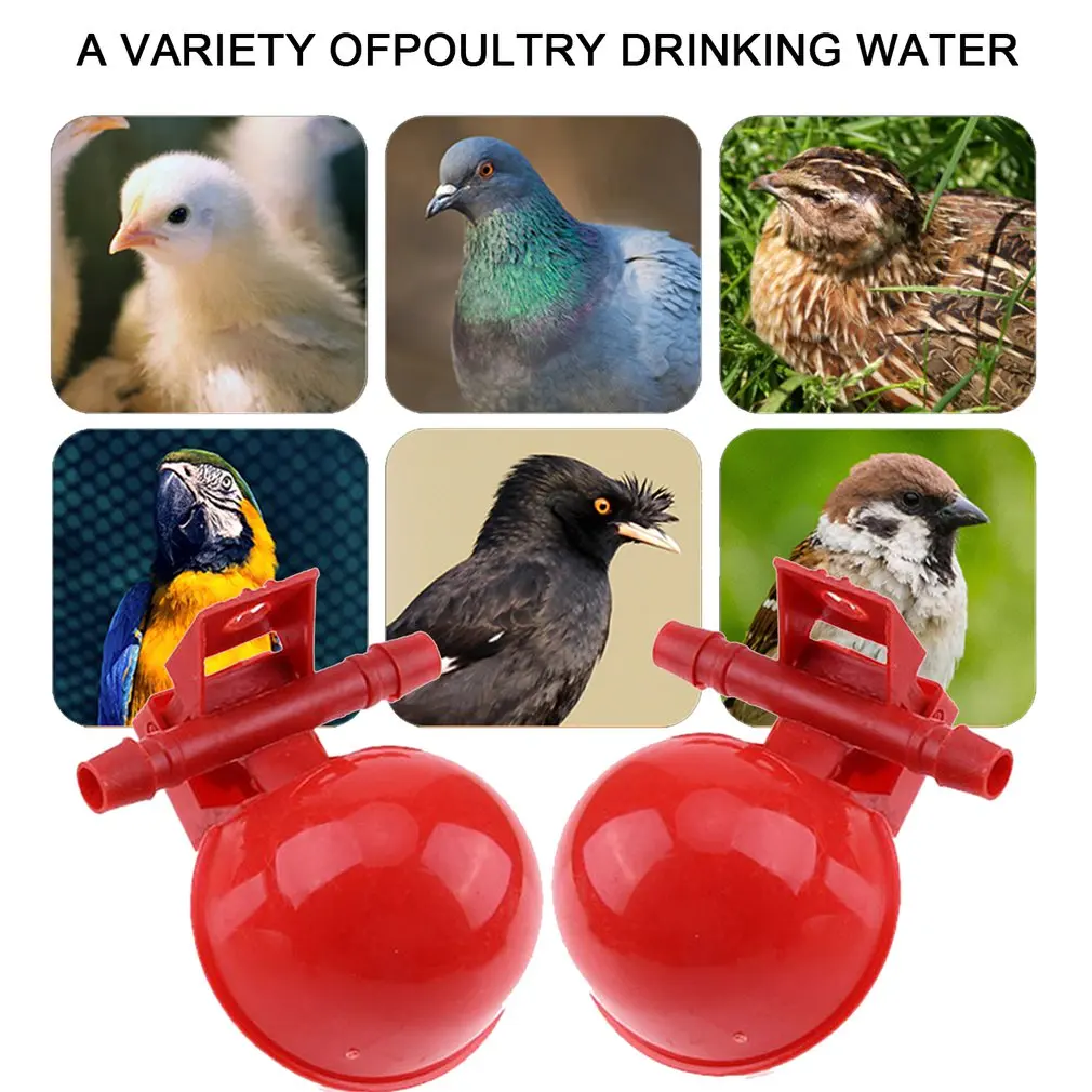 Newest Drinker Chicken Equipment Automatic Chicken Water Cup Bird Coop Water Drinking Cups Feed Automatic Poultry Chicken Fowl