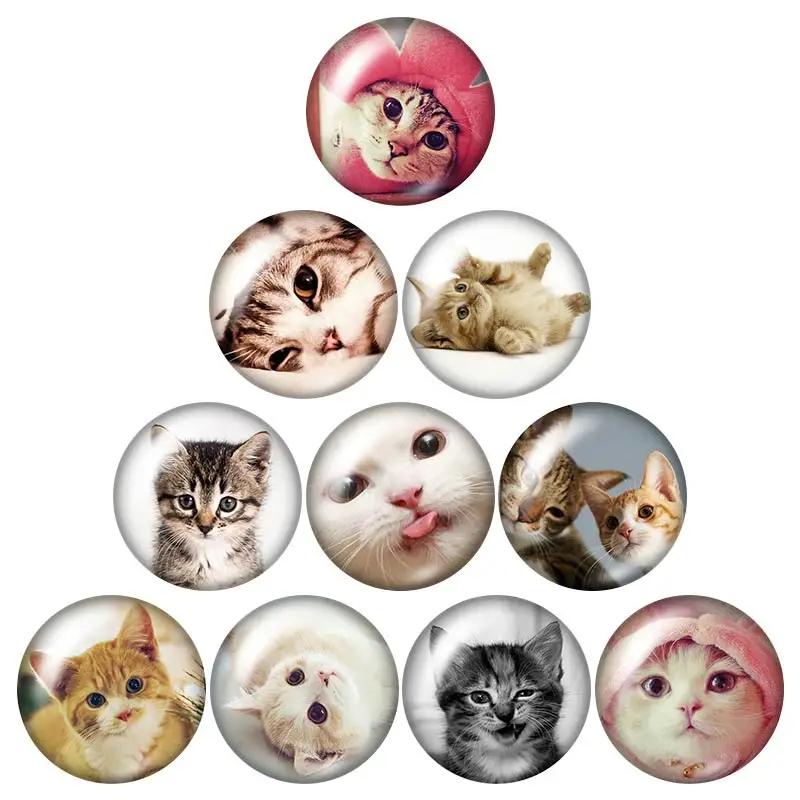 Lovely Cat love pet  18mm snap buttons 10pcs mixed round photo glass cabochon style for snap button jewelry