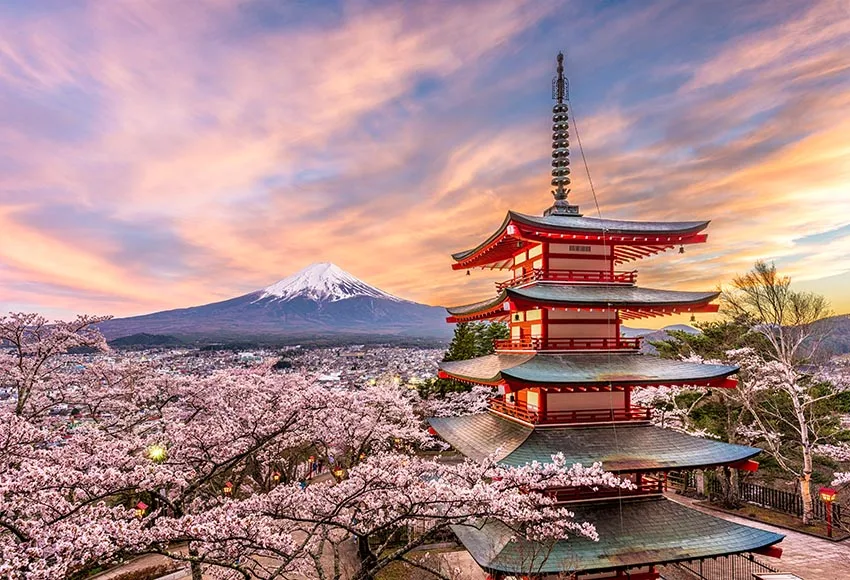 7x5FT  Fujiyoshida Japan Chureito Pagoda Mt Fuji Spring Blossoms Custom Photo Studio Backdrops Backgrounds Vinyl 220cm x 150cm