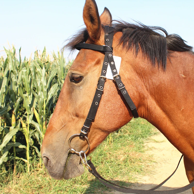 Harness Rein Horse Bridle Horse Rein Headstall Halter Equestrian Accessories Removable Webbing Riding Equipment Halters