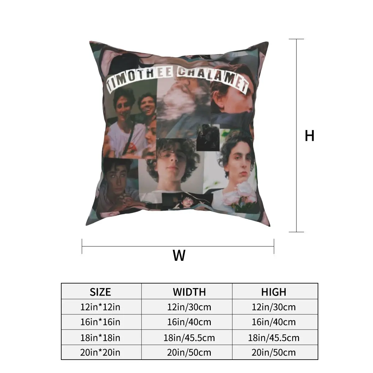 Chalamet Timothee Pillowcase Cushion Cover Gift Beautiful Timmy Elio CMBYN Throw Pillow Case Cover Home Dropshipping 40*40cm