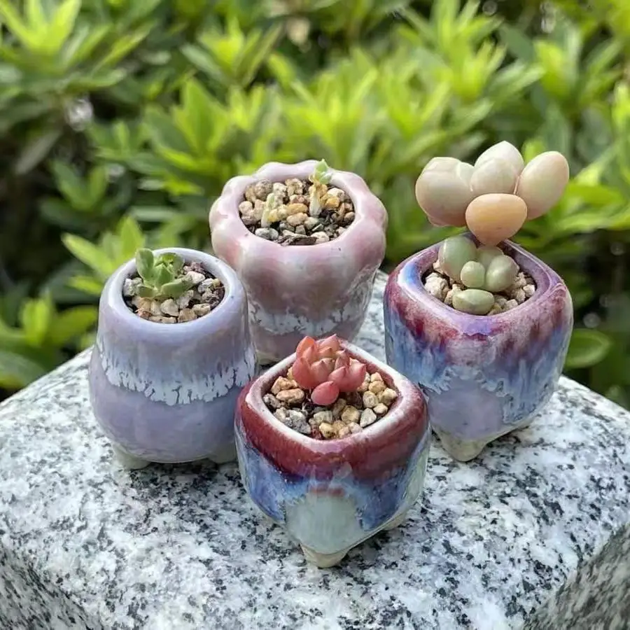 5Pcs Mini Flower Pot Ceramic Breathable Thumb Flowers Pot Lithops Succulent Flowerpot Home Garden Mini Bonsai Potted Planting