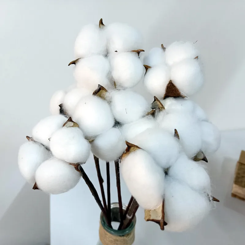 10 Pcs Naturally Dried Cotton Flower Artificial Plants Floral Branch For Wedding Party Decoration Fake  Home Decor  Naturales