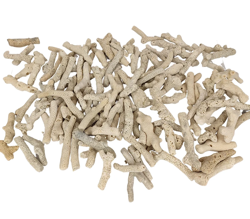 Natural Coral Bone Stone Marine Aquarium Substrate Fish Tank Filter Media