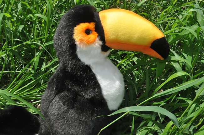 Niedlicher Tukan-Vogel-Plüschtier, ca. 26 cm, Simulation, Tukan, weiche Puppe, Kinderspielzeugauto, Dekoration, Geburtstagsgeschenk, H0695