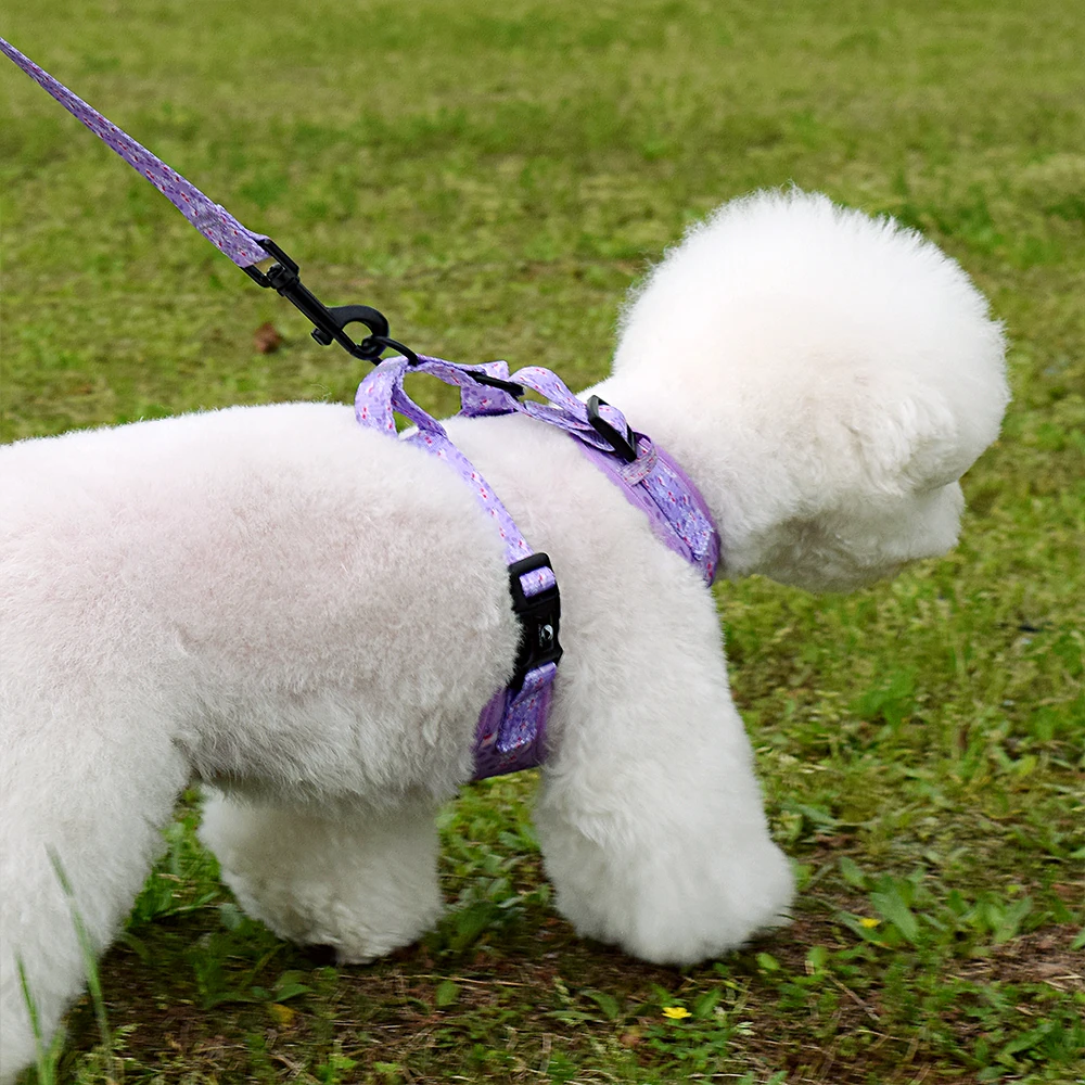 Adjustable Pet Dog Collar Durable Soft Cute Creative Colored Purple Brid Design Leash Neoprene Harness With Poop Bag Dispenser