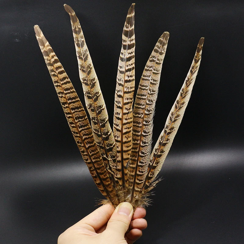 Plumas de cola de faisán y guinea para atar moscas de trucha