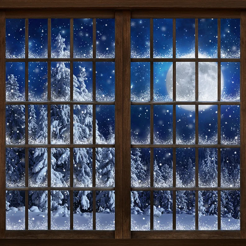 Window Winter Night Full Moon Tree Snow photo backdrop High quality Computer print party background