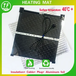 AC220V Điện Làm Nóng Bề Mặt Thảm Nhiệt Độ 40 + C Ấm Lên Tay Chân Cá Thú Cưng Nhà Phích Cắm Châu Âu Làm Nóng Phim