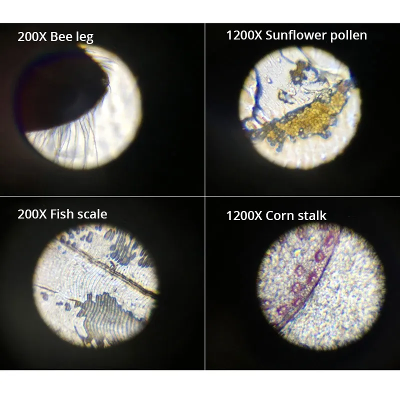 100X 400X 1200X LED Lighted Children Toy Monocular Plastic Biological Microscope Kid's Birthday Educational Gift