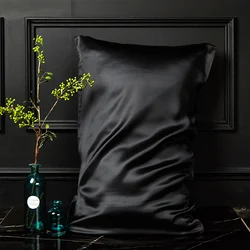 DISANGNI 100% Natural Mulberry Silk Pillow case for Hair and Skin 22 Momme Both Sides Silk Bed Pillow Cover