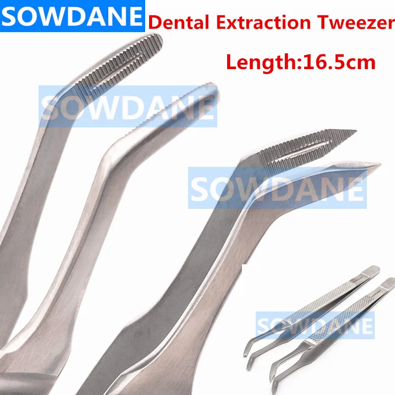 Dental Extraction Tweezer Pointed End Root Splinter Forcep Round Tip Root Tip Pick Tweezers Dental Orthodontic Instrument Tool