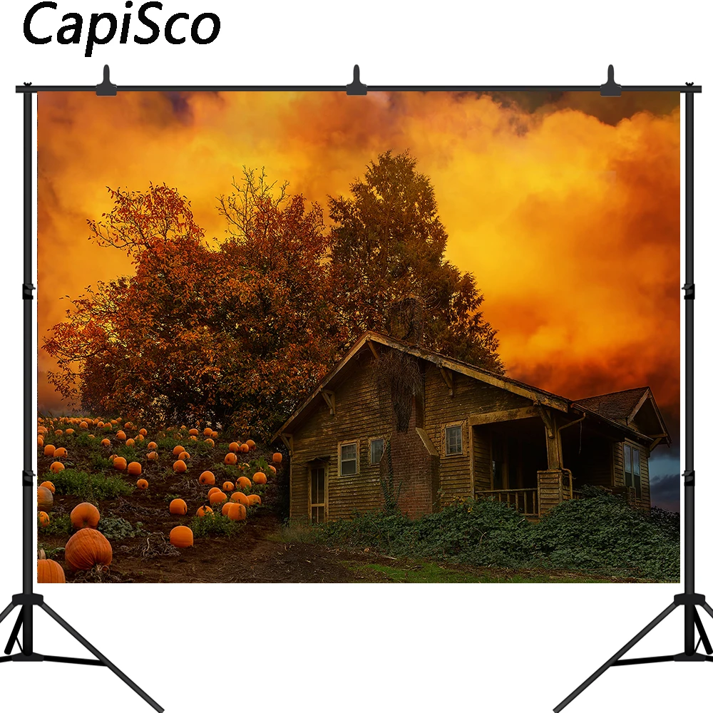 

Capisco Fall Thanksgiving Photography Backdrop Rustic Farm Pumpkin Background Autumn Harvest Photoshoot Portrait Photo Booth