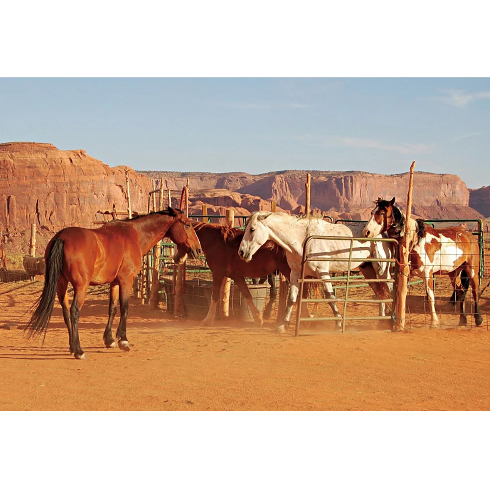 Laeacco مزرعة مستودع قديم ريفي غرب رعاة البقر الحصان ديكور المنزل الصحراء المناظر الطبيعية وراية صور خلفية خلفية للتصوير الفوتوغرافي