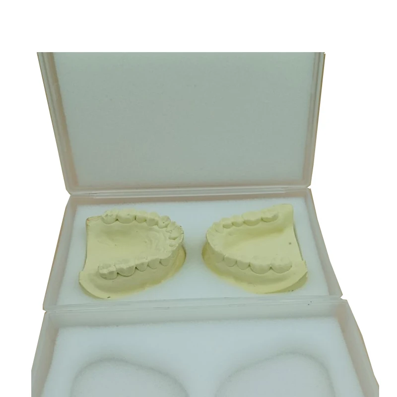 10PCS Dental Laboratory Plaster Model Box Delivery Case Protection Dental Case Work Packaging Box With Sponge