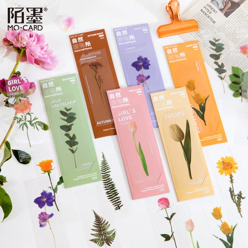 5pcs PET Translucent Bookmark Botanical Research Institute Daisy Flower Bullet Journaling Accessories Deco Book Mark Stationery