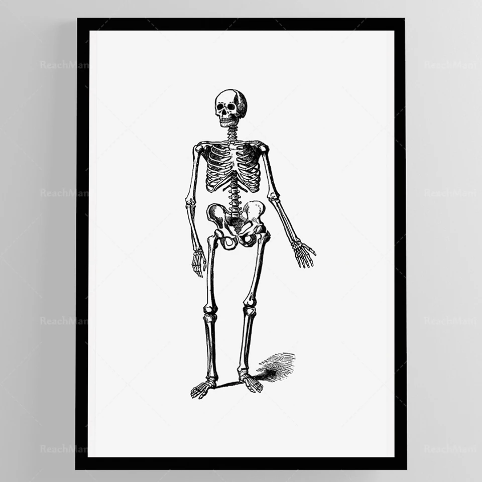 Retro high-quality poster print, retro wall art, exhibition print