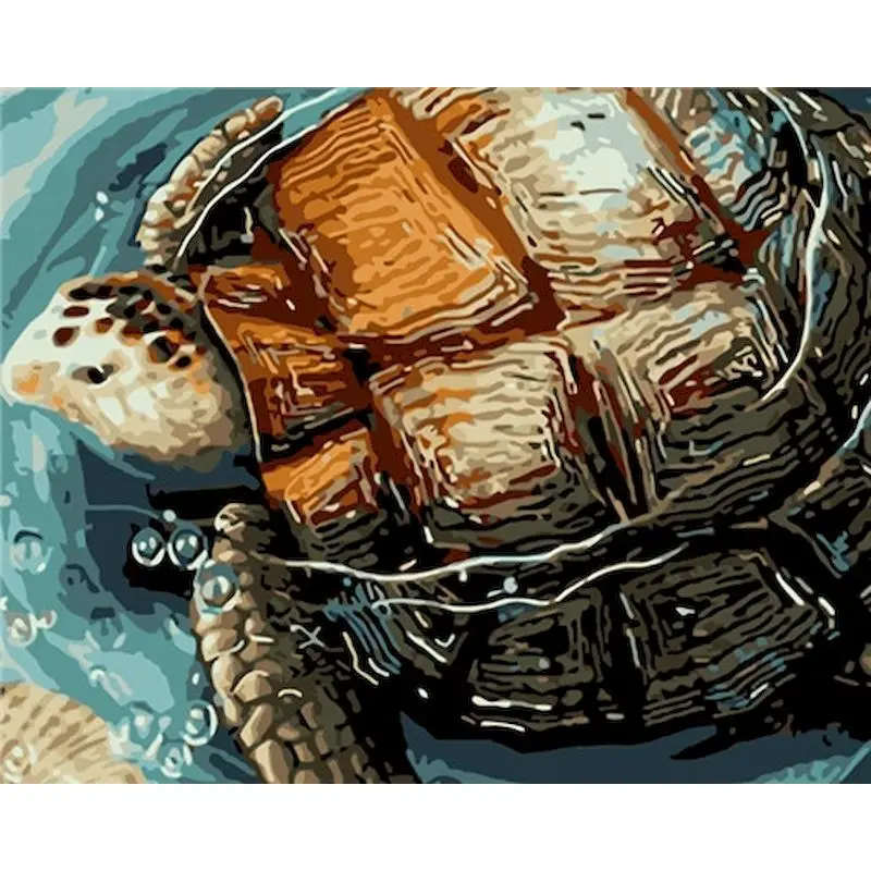 Pintura Por Números De Tortuga Marina Para Niños De 6 A 12 Años – Lienzo Enmarcado 20x20 Cm Con Pinceles, Pinturas Y Caballete