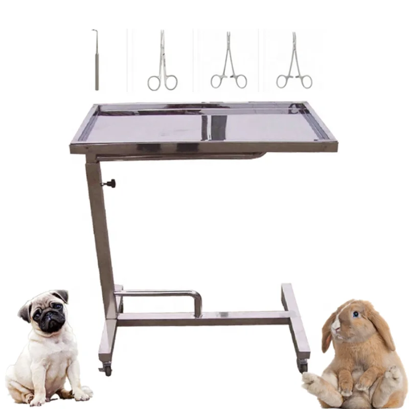 Veterinary Medical table  WJF-01 Veterinary stainless steel surgical instrument trays for animal veterinary equipment