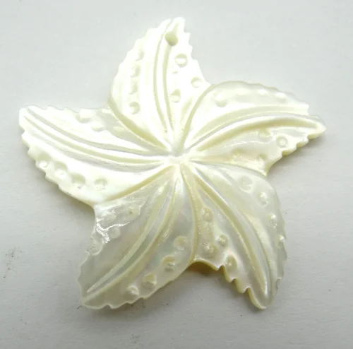 wholesale Natural Quartz crystal Freshwater flower Shell charm Pendants For diy Jewelry making Necklace Accessories 5pcs