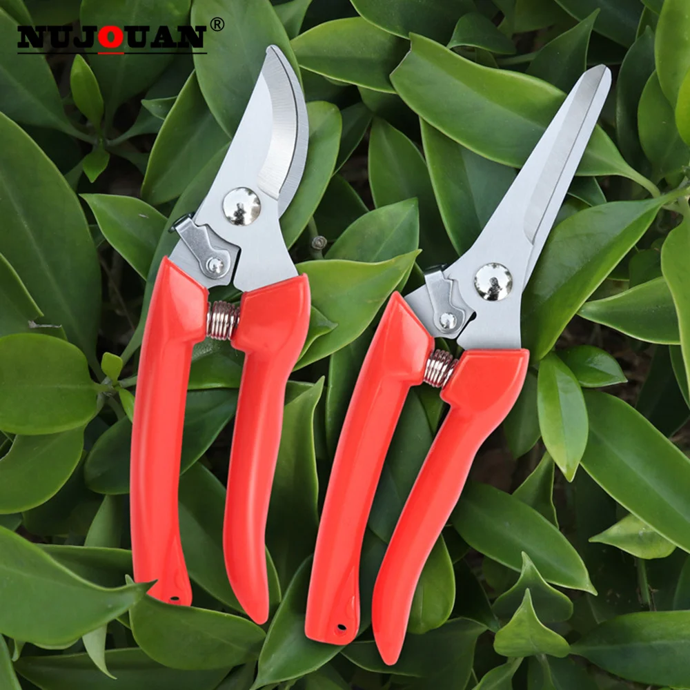 

New Pruner Orchard and The Garden Hand Tool Bonsai For Scissors Gardening Machine Anvil Branch Shear Fruit Picking Pruning Shear