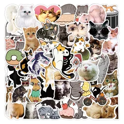 10/30/50PCS Cartoon Cute Cat Small Fresh Graffiti Waterproof Sticker Suitcase Notebook Refrigerator Skateboard WaterCupWholesale