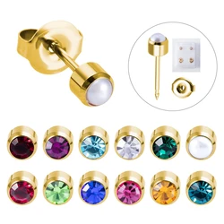 2pcs Gold Plated Steel Earring Studs for Ear Piercing Gun Birthstone CZ Ear Stud Earrings Studs Tragus Cartilage Body Jewelry