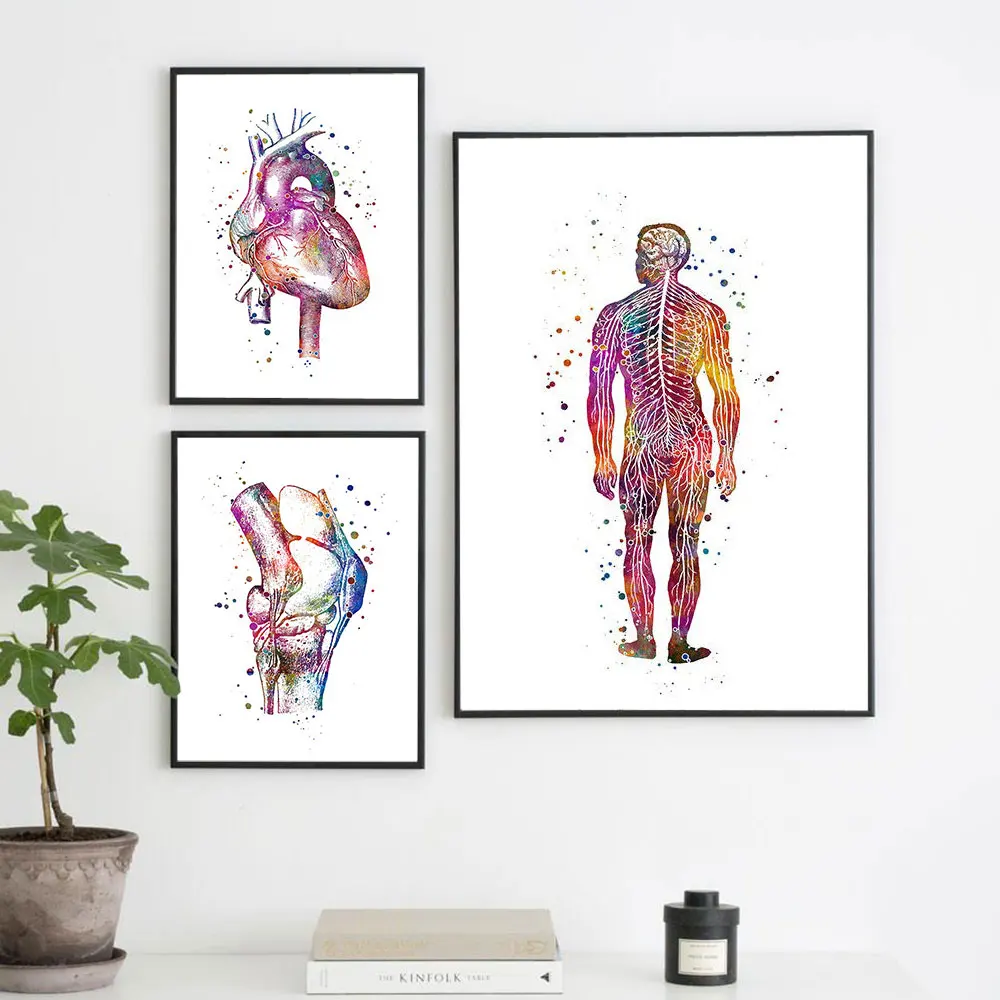 Abstract anatomical poster Nordic canvas wall art print color meridian painting medical decoration frameless