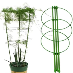 Durable Creative Vine Climbing Rack 45cm Flower Decorative Gardening Tools Vegetables Plant Trellis Plant Support Frame plant