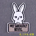 PE6083CT
