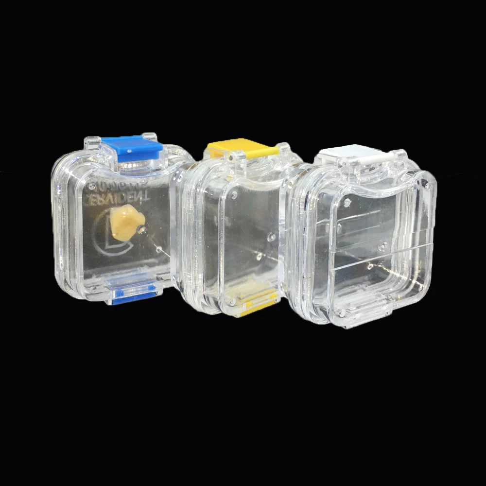 100pcs Denture Membrane Box Organizer Dental False Teeth Storage Box Teeth Case with Clear Film